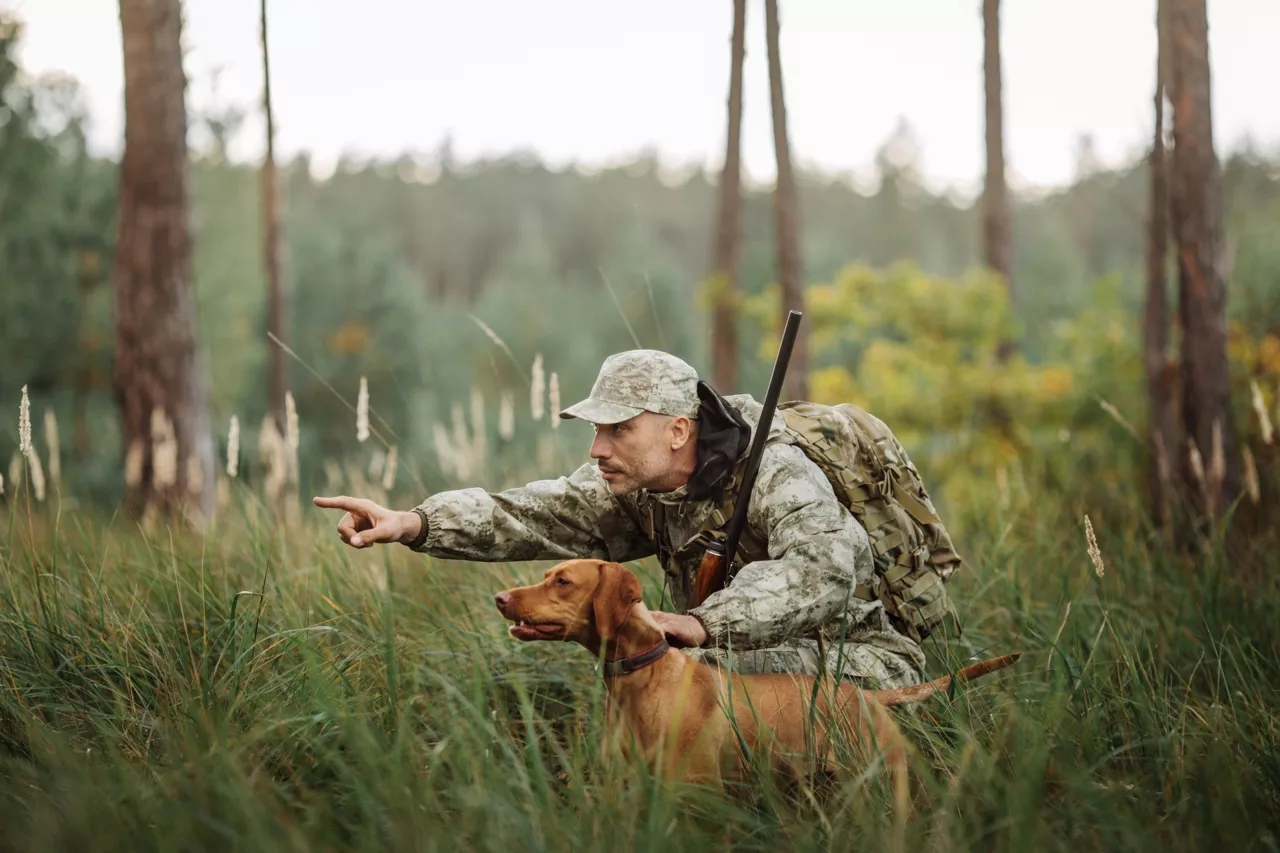 Homme avec son chien à la chasse dans une forêt.